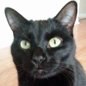 Meet your Posher, Angela